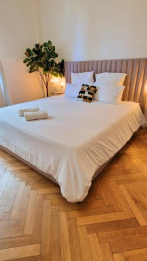 Jazzy et Spacieux Appartement Prom des Anglais